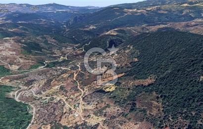 MUĞLA ZEYTİNKÖY'DE 2.178 M2 SATILIK TARLA