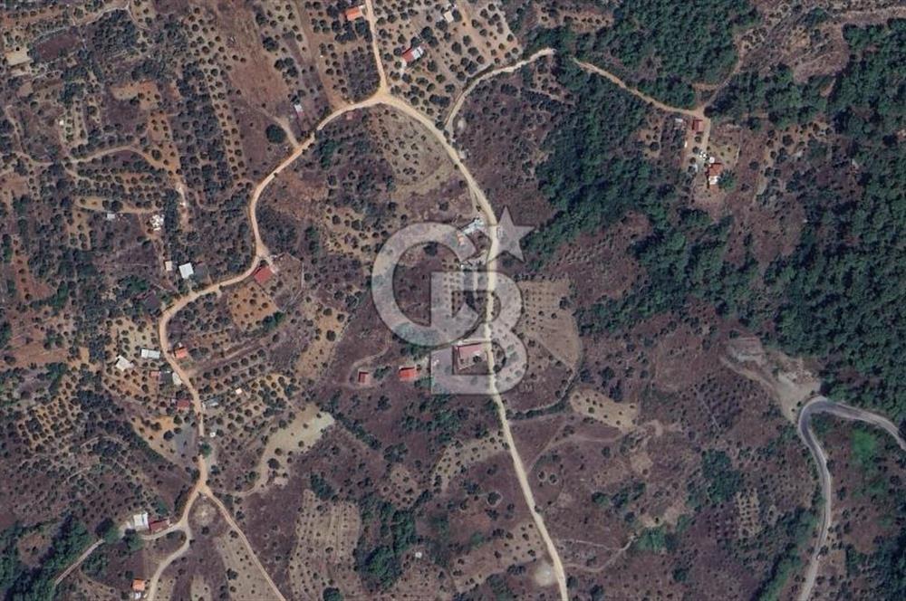 MUĞLA KIRAN'DA SATILIK AHŞAP EV VE TARLA