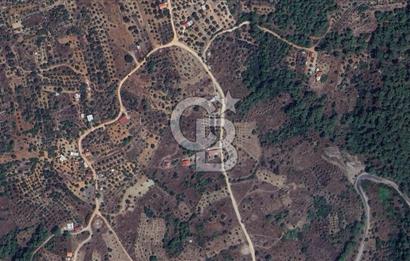 MUĞLA KIRAN'DA SATILIK AHŞAP EV VE TARLA