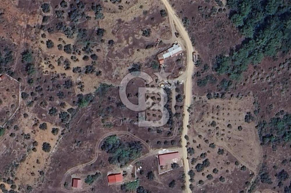 MUĞLA KIRAN'DA SATILIK AHŞAP EV VE TARLA