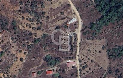 MUĞLA KIRAN'DA SATILIK AHŞAP EV VE TARLA