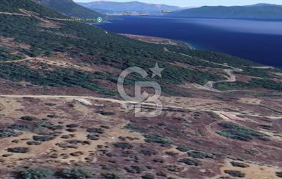 MUĞLA KIRAN'DA SATILIK AHŞAP EV VE TARLA