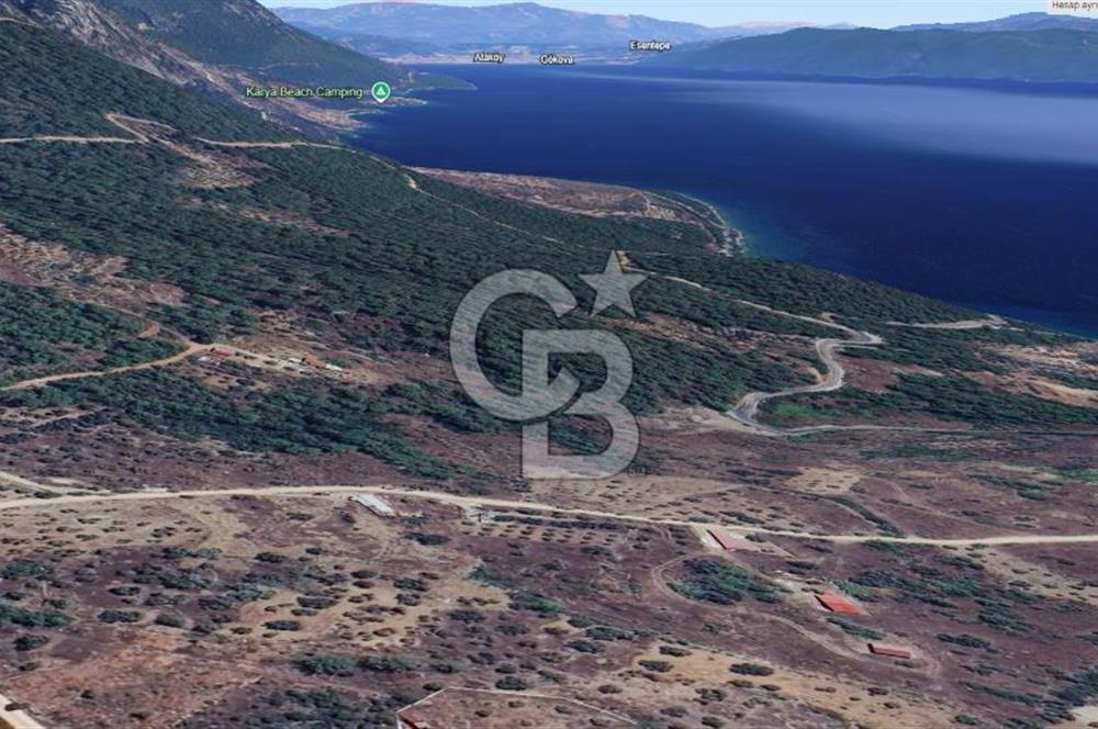 MUĞLA KIRAN'DA SATILIK AHŞAP EV VE TARLA