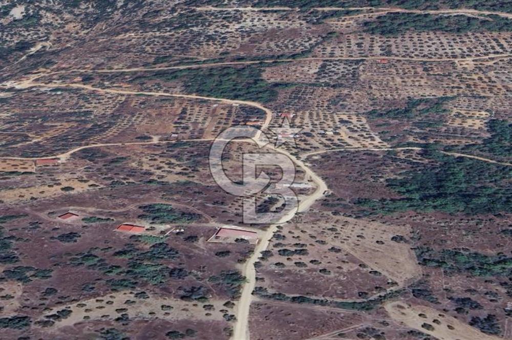 MUĞLA KIRAN'DA SATILIK AHŞAP EV VE TARLA