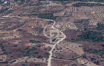 MUĞLA KIRAN'DA SATILIK AHŞAP EV VE TARLA