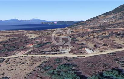 MUĞLA KIRAN'DA SATILIK AHŞAP EV VE TARLA