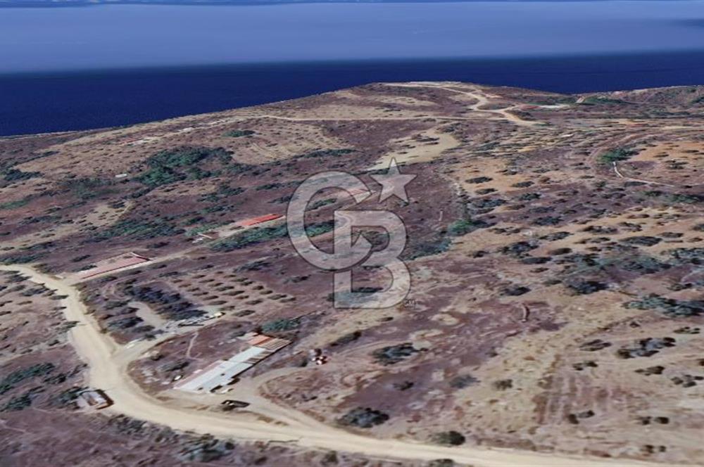 MUĞLA KIRAN'DA SATILIK AHŞAP EV VE TARLA