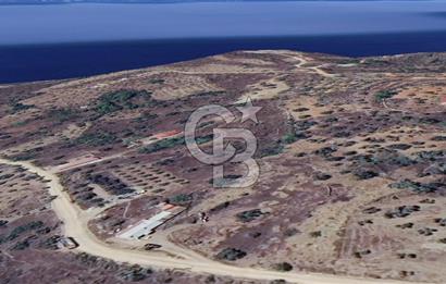 MUĞLA KIRAN'DA SATILIK AHŞAP EV VE TARLA