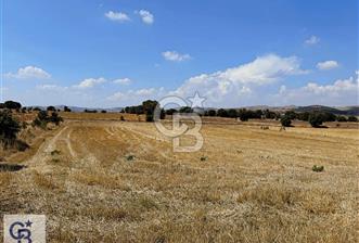 Bekilli Sırıklı'da Satılık Tarla - 4 - 322387