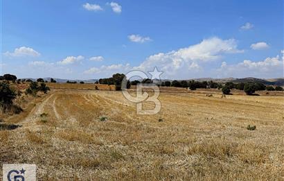 Bekilli Sırıklı'da Satılık Tarla