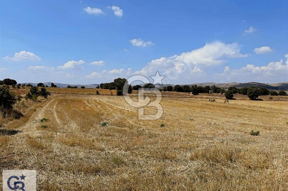 Bekilli Sırıklı'da Satılık Tarla