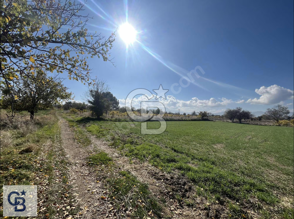 Acıpayam Kumafşarı'da Satılık Tarla