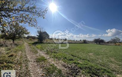 Acıpayam Kumafşarı'da Satılık Tarla