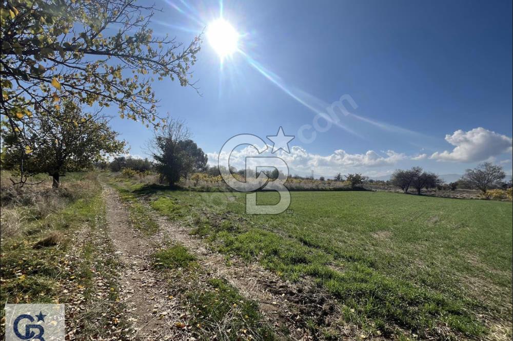 Acıpayam Kumafşarı'da Satılık Tarla