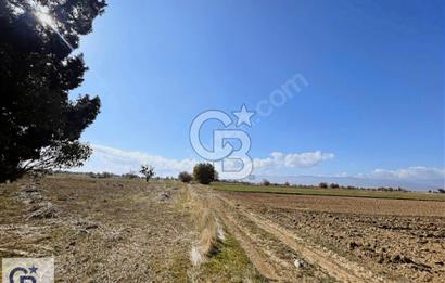 Acıpayam Kumafşarı'da Satılık Tarla