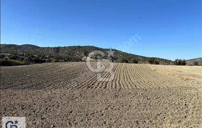 Bozkurt Çambaşı'da Satılık Tarla