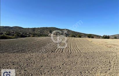 Bozkurt Çambaşı'da Satılık Tarla
