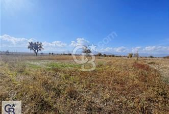 Acıpayam Kumafşarı'da Satılık Tarla - 9 - 322397