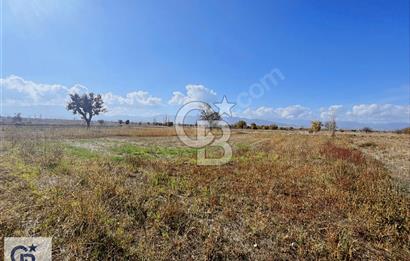 Acıpayam Kumafşarı'da Satılık Tarla