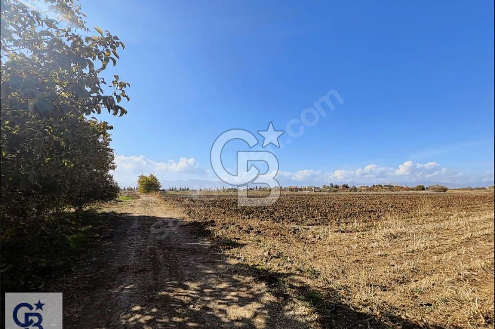 Acıpayam Kumafşarı'da Satılık İmar Yakını Sulak Tarla