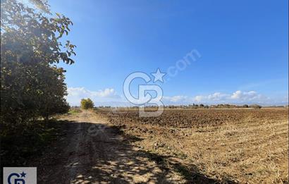 Acıpayam Kumafşarı'da Satılık İmar Yakını Sulak Tarla