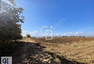 Acıpayam Kumafşarı'da Satılık İmar Yakını Sulak Tarla - 8 - 322399