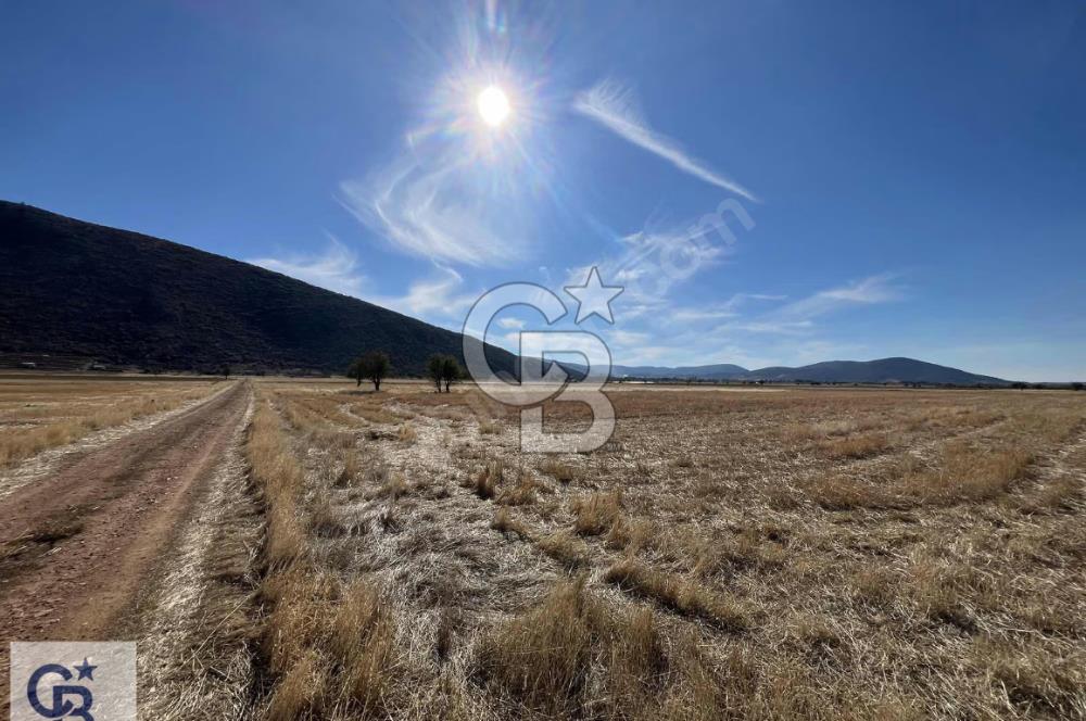 Tavas Garipköy'de Satılık Tarla