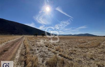 Tavas Garipköy'de Satılık Tarla