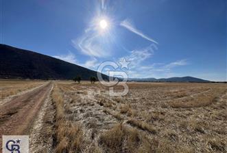 Tavas Garipköy'de Satılık Tarla - 9 - 322404