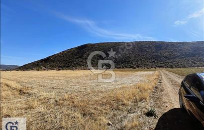 Tavas Garipköy'de Satılık Tarla
