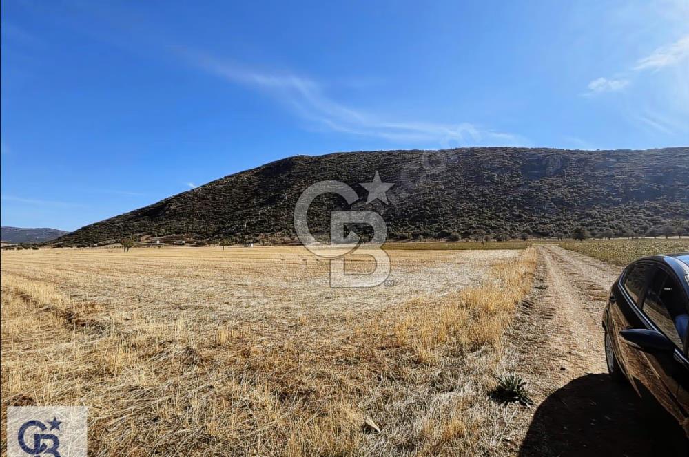Tavas Garipköy'de Satılık Tarla