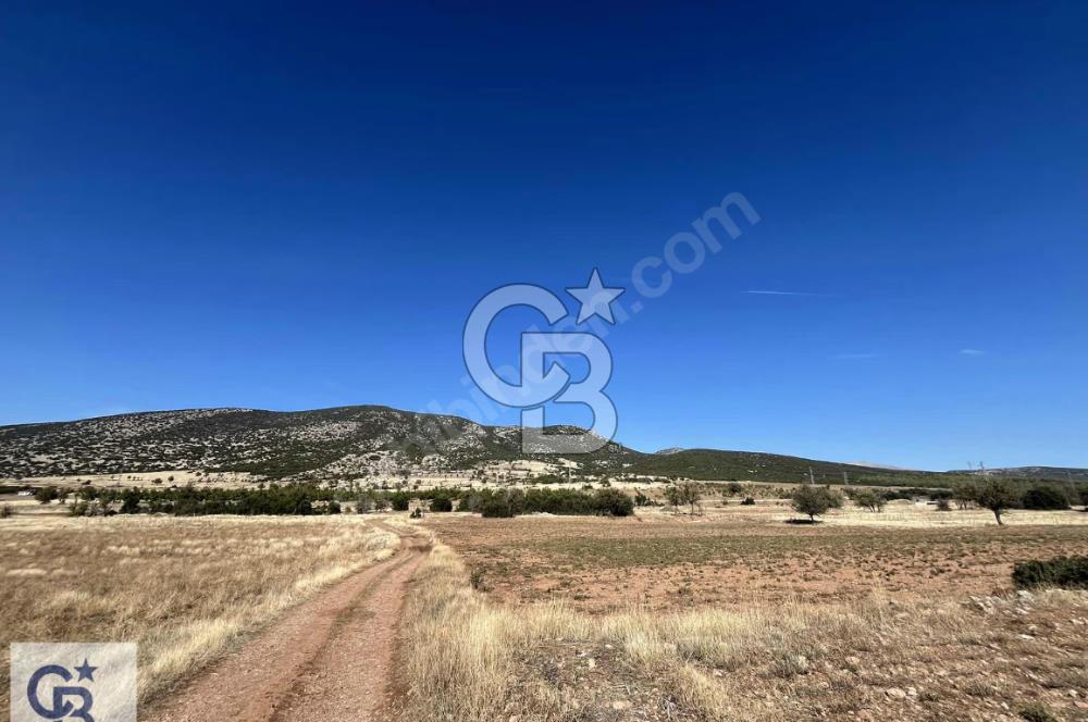 Tavas Garipköy'de Satılık Tarla