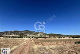 Tavas Garipköy'de Satılık Tarla - 4 - 322409