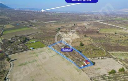 Honaz Menteşe'de Satılık Kiraz Bahçesi Ve Ev