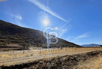 Tavas Garipköy'de Satılık Tarla - 10 - 322415