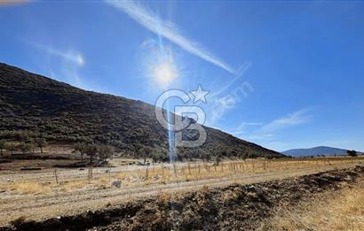 Tavas Garipköy'de Satılık Tarla