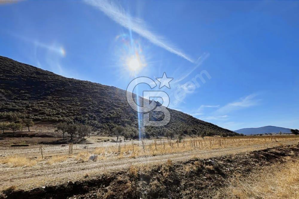 Tavas Garipköy'de Satılık Tarla
