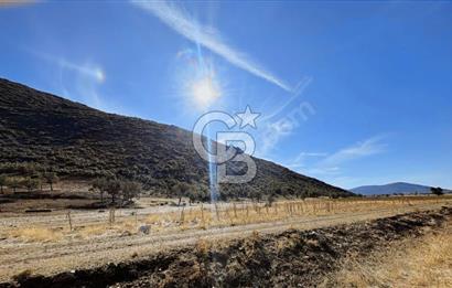 Tavas Garipköy'de Satılık Tarla