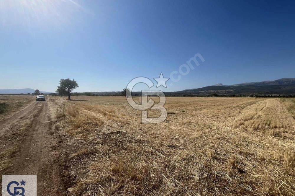 Tavas Karahisar'da Satılık Tarla
