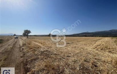Tavas Karahisar'da Satılık Tarla