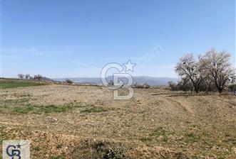 Bozkurt Yenibağlar'da Köye Yakın Satılık Tarla - 10 - 322418