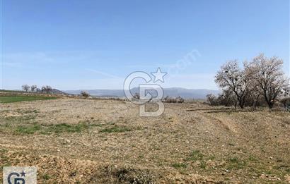 Bozkurt Yenibağlar'da Köye Yakın Satılık Tarla