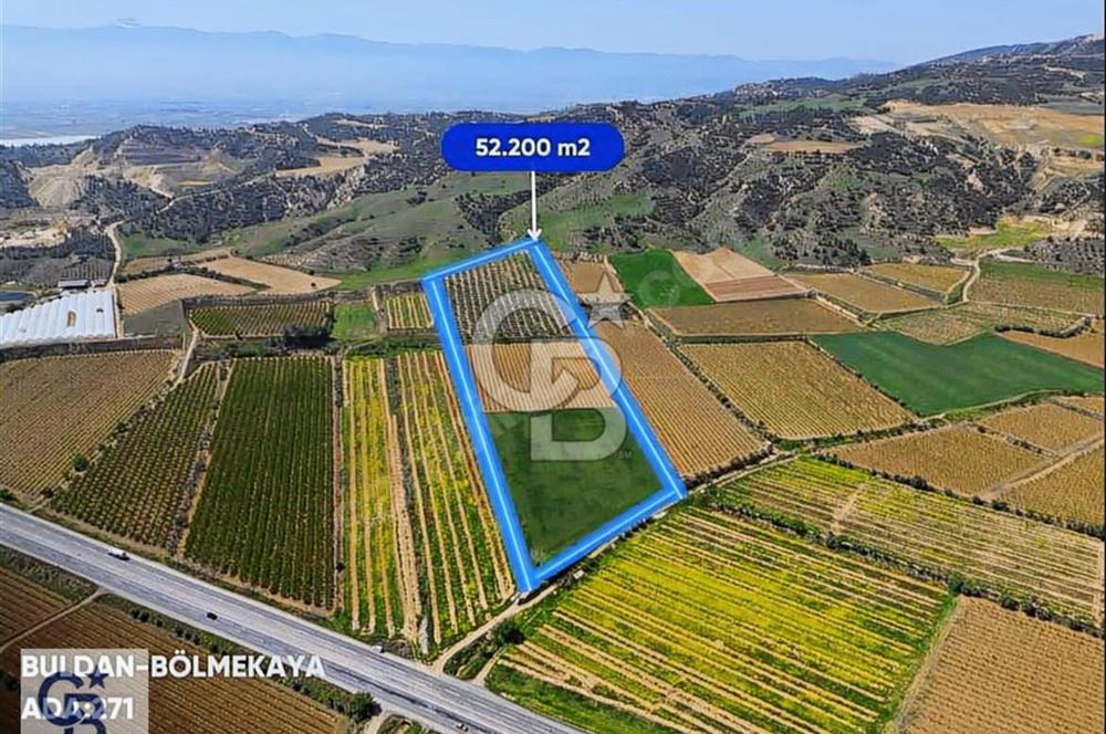 Buldan Bölmekaya'da Satılık Sera Ruhsatlı Zeytinlik ve Bağ