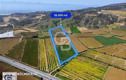 Buldan Bölmekaya'da Satılık Sera Ruhsatlı Zeytinlik ve Bağ