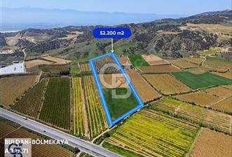 Buldan Bölmekaya'da Satılık Sera Ruhsatlı Zeytinlik ve Bağ - 8 - 322421
