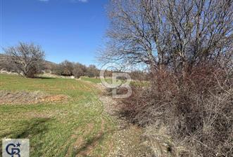 Bekilli Gömce'de Satılık Köy Yakını Tarla - 7 - 322422