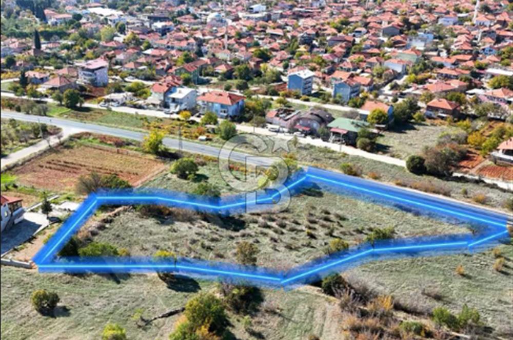 Bekilli Bahçeli Asfalt Cephe Yatırımlık Arazi