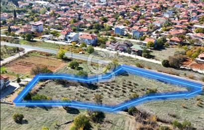 Bekilli Bahçeli Asfalt Cephe Yatırımlık Arazi