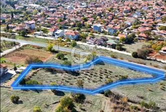 Bekilli Bahçeli Asfalt Cephe Yatırımlık Arazi - 2 - 322379