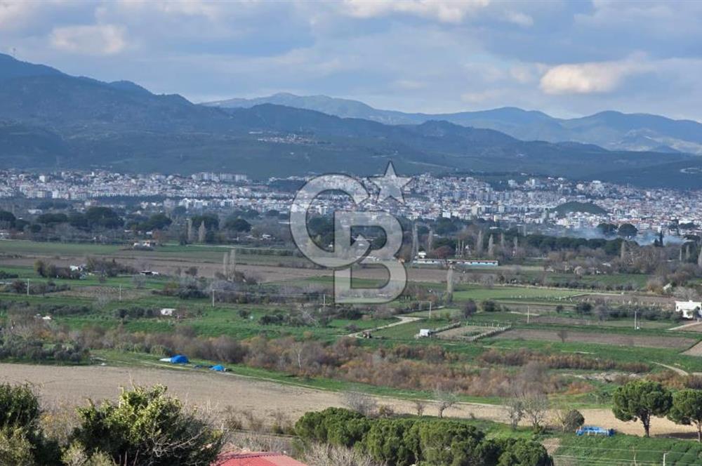 Bergama Sindel Mahallesinde Satılık Zeytinlik